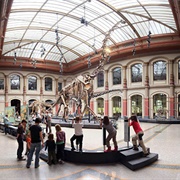 Museum Für Naturkunde, Berlin
