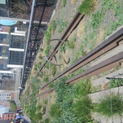 High Line Park