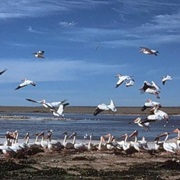 Bowdoin National Wildlife Refuge