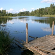 Forest Lakes: Gulbis, Zilonis, Mežmuižas Lakes
