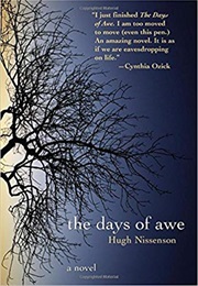 The Days of Awe (Hugh Nissenson)