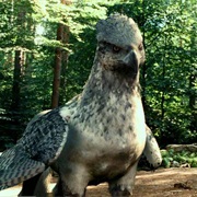 Hippogriff