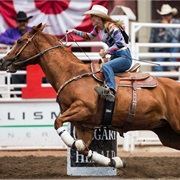 Barrel Racing