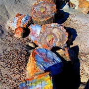 Petrified Forest National Park, Arizona