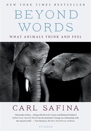 Beyond Words: What Animals Think and Feel (Carl Safina)