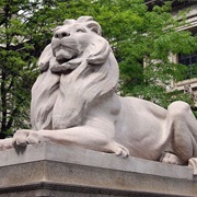 Stone Lion, New York Public Library