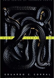 Slow Lightning (Eduardo C. Corral)