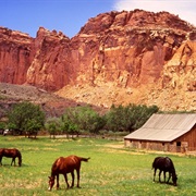 Capital Reef National Park, Utah