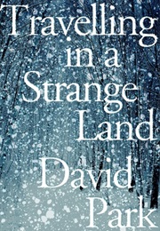 Travelling in a Strange Land (David Park)