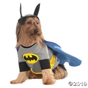 Batman Pooch
