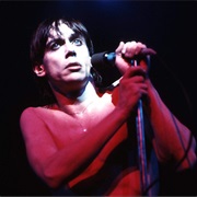 Iggy Pop