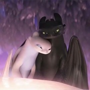 Toothless & Light Fury