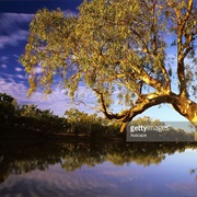 Cooper–Barcoo River