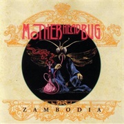 Motherhead Bug - Zambodia