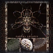 Canvas Solaris - Cortical Tectonics