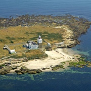 Coquet Island, Northumberland