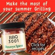 BBQ 3001