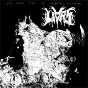 Liars - The Other Side of Mt. Heart Attack