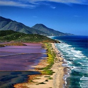 Nueva Esparta (Margarita Island)