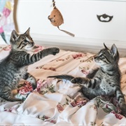 Spend Time With Your Siblings