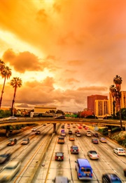 Healthy Eating Freeway Guide (Penny Steward)