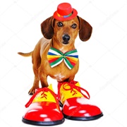 Clown Shoes