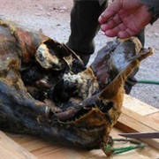 Kiviak (Aged, Auk-Stuffed Seal Meat)