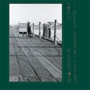 Robyn Hitchcock - I Often Dream of Trains