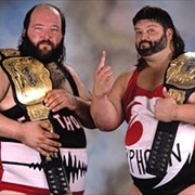 The Natural Disasters