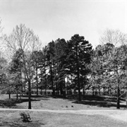 Hot Wells, Louisiana