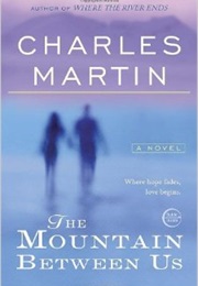 The Mountain Between Us (Charles Martin)