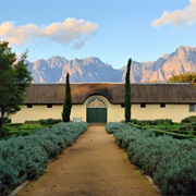 Taste Wine in the Stellenbosch, South Africa's Biggest Winemaking Region