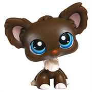 Littlest Pet Shop #219