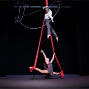 Take a Circus Class at the Actor's Gymnasium
