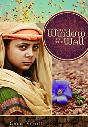 The Window in the Wall (Ginny Merritt)