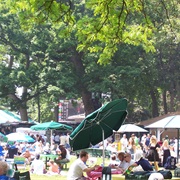 Backyard at Belmont Park