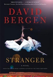 Stranger (David Bergen)