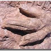 St. George Dinosaur Discovery Site at Johnson Farm, Utah