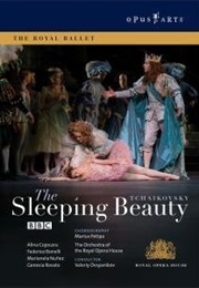 The Sleeping Beauty (2007)
