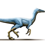 Variraptor