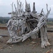 Esquimalt Lagoon, Victoria, British Columbia