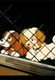 The Puppy's Further Adventures