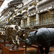 Natural History Museum