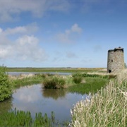 Loch of Strathbeg Nature Reserve