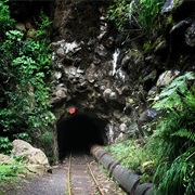 Waitakere Dam, Tramline Track Walk - Easy (2 Hours)