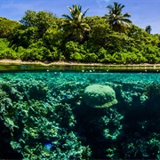 Pohnpei, Federated States of Micronesia, Caroline Islands