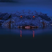 Night Shine at Gatorland