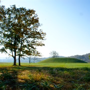 Seip Mound State Memorial, Ohio