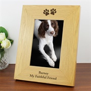 A Framed Photograph of a Pet