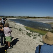 Gillmor Audubon Sanctuary, Utah
